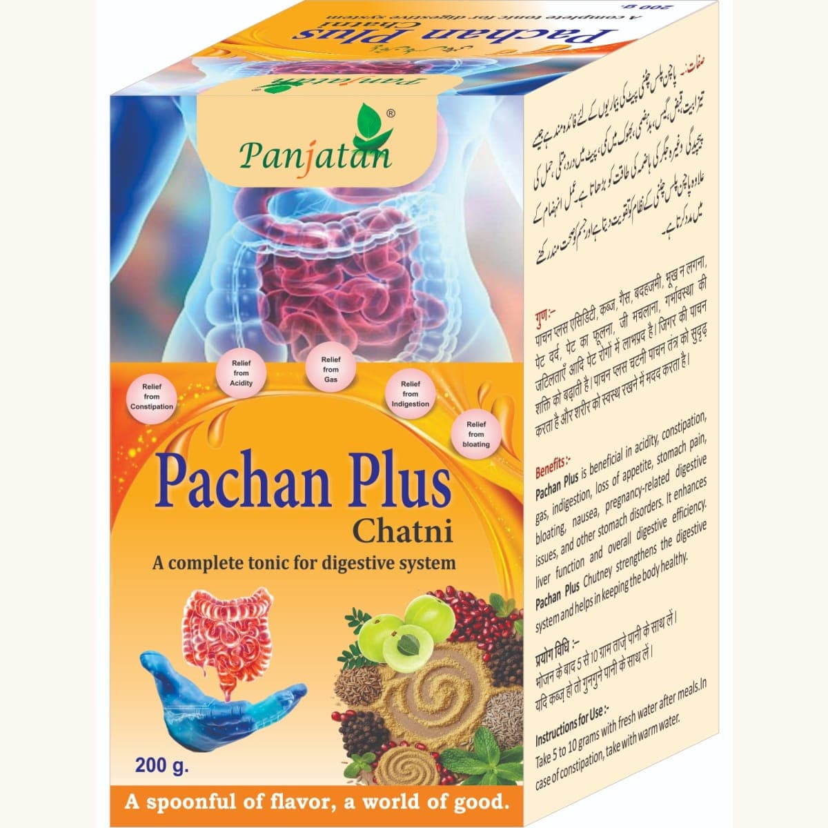 Pachan Plus Chatni
